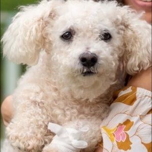 Meet your Posher, Kelly